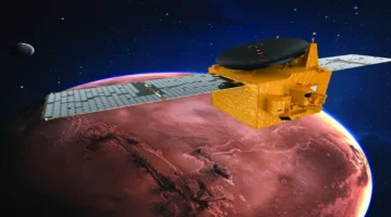 دمج الشباب في مسيرة التنمية: الإمارات ترسّخ مكانتها عاصمة لرواد الأعمال